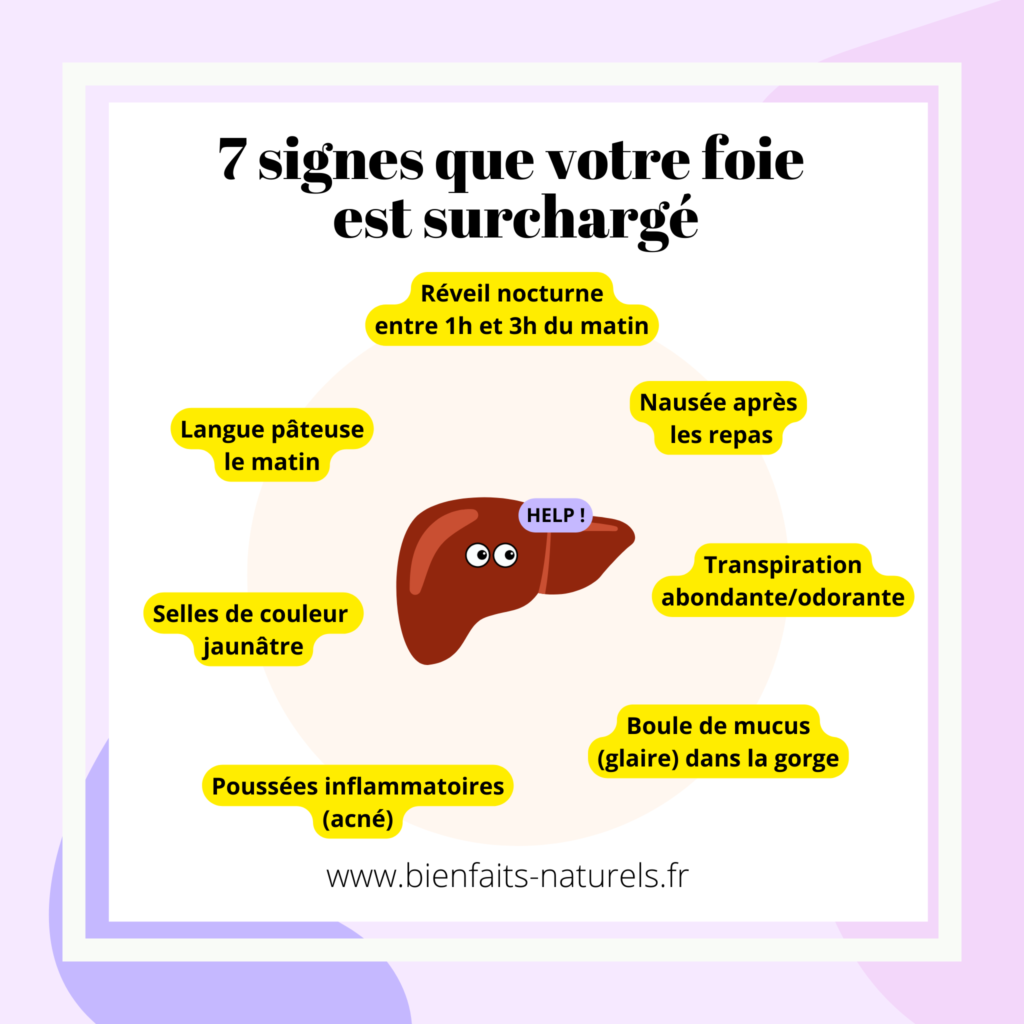 Signes de surcharge du foie en naturopathie