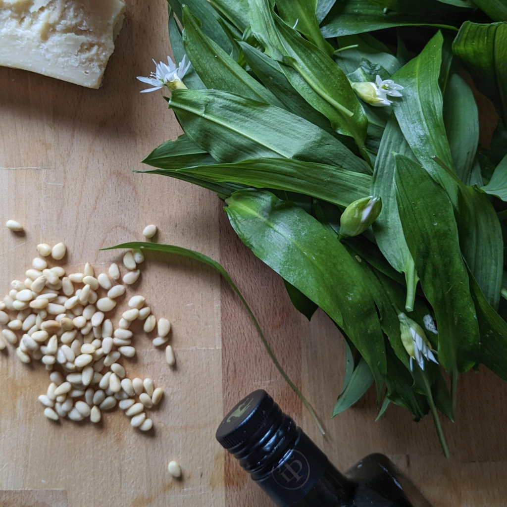 Les ingrédients pour une excellente recette de pesto à l'ail des ours : ail des ours, parmesan, pignon de pin et huile d'olive. 