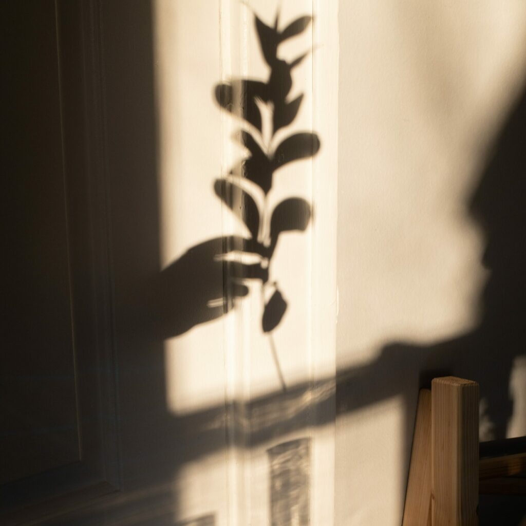 Ombre d'une main plaçant une plante dans un vase. Photographie pour illustrer le site bienfaits naturels, blog autour de la naturopathie, des plantes et de la nutrition.