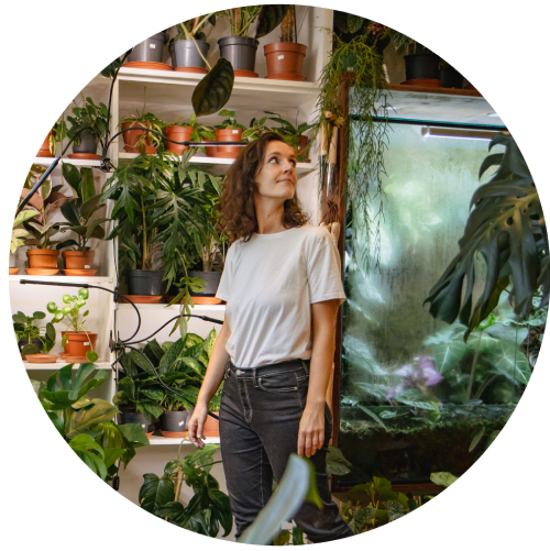Photographie faites dans un magasin de plantes à Lyon