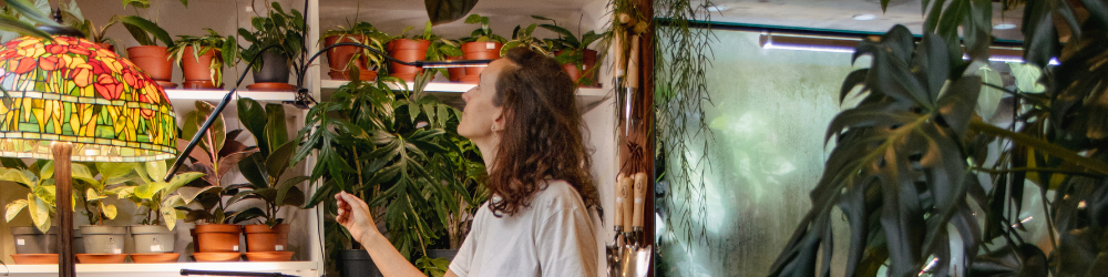 dans une boutique qui vend des plantes