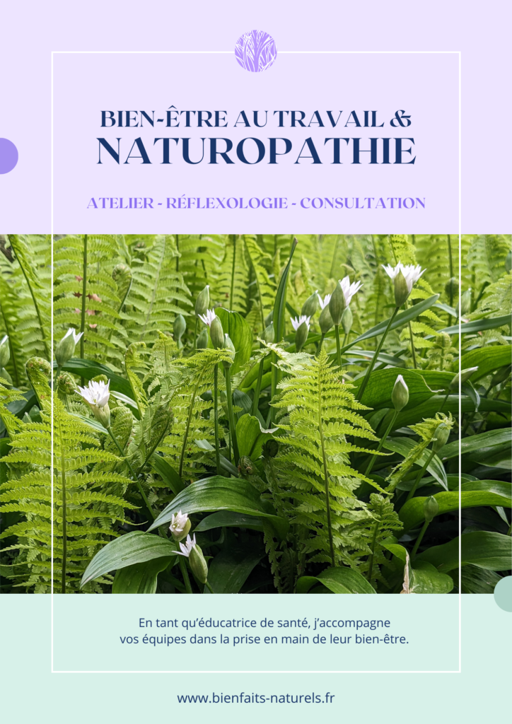 Couverture du catalogue bien-être au travail et naturopathie à destination des RH