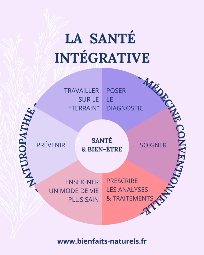 Schéma expliquant la santé intégrative avec une approche complémentaire entre la naturopathie et la médecine conventionnelle.