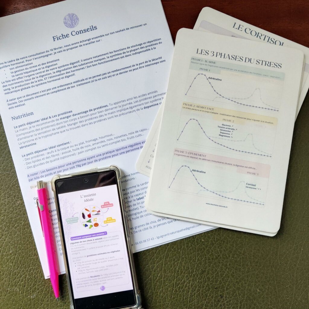 Exemple de rendu faite à un client avec sa fiche conseils de naturopathie, des fiches explicatives pour illustrer les problématiques hormonales et un téléphone avec l'assiette idéale. 