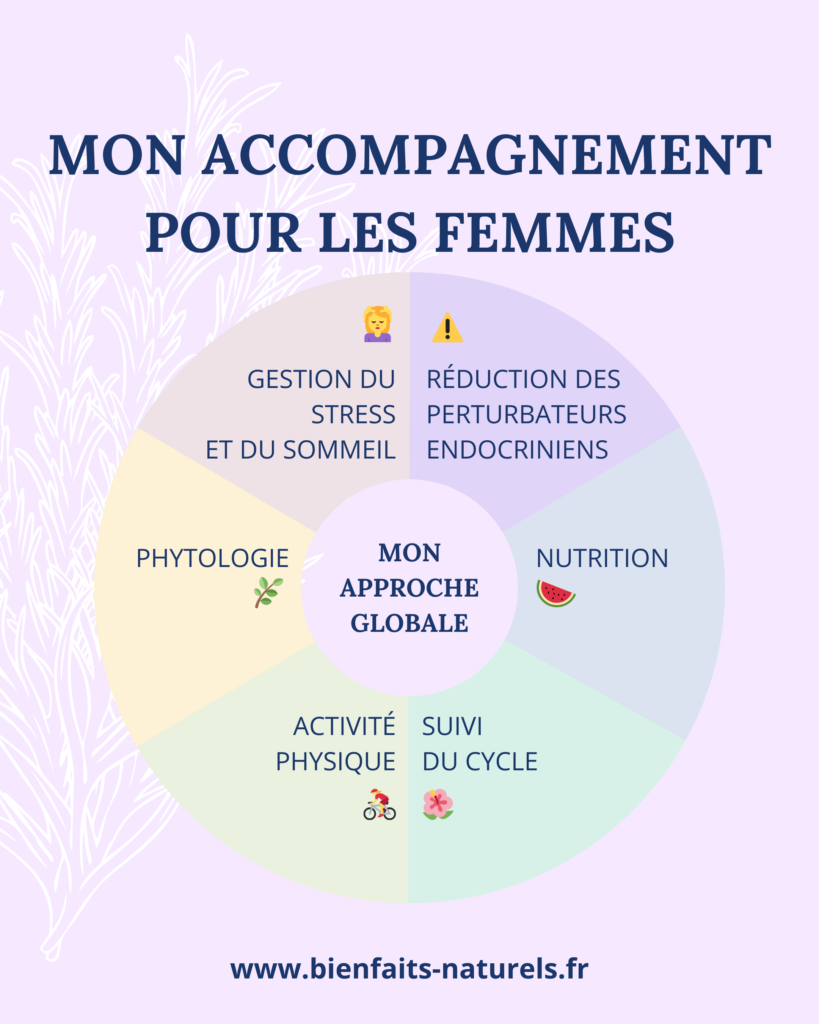 Roue avec les 6 points de mon accompagnement en naturopathie pour le femmes : sommeil et gestion du stress, réduction des perturbateurs endocrinien, phytologie, nutrition, suivi du cycle et activité physique