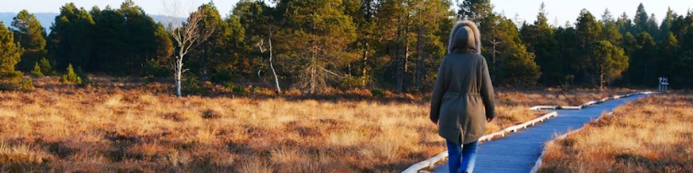 Personne qui marche seule sur une route dans la nature