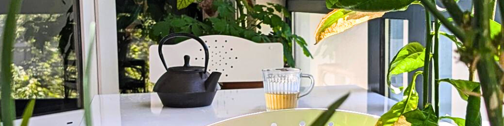 Table dans une loggia avec une tasse et une bouilloire remplie d'un mélange de plantes médicinales pour les femmes.