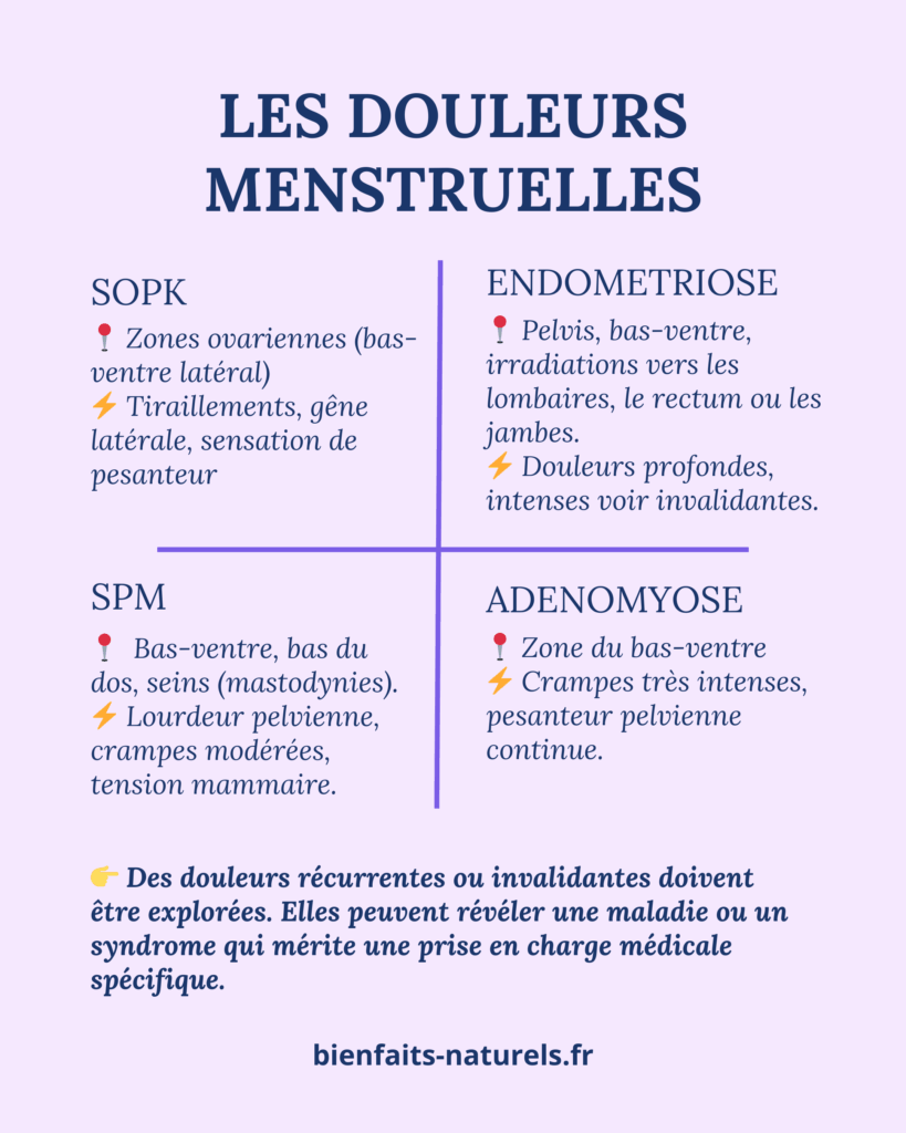 Comprendre les douleurs liées au SOPK, SPM, endométriose ou adénomyose