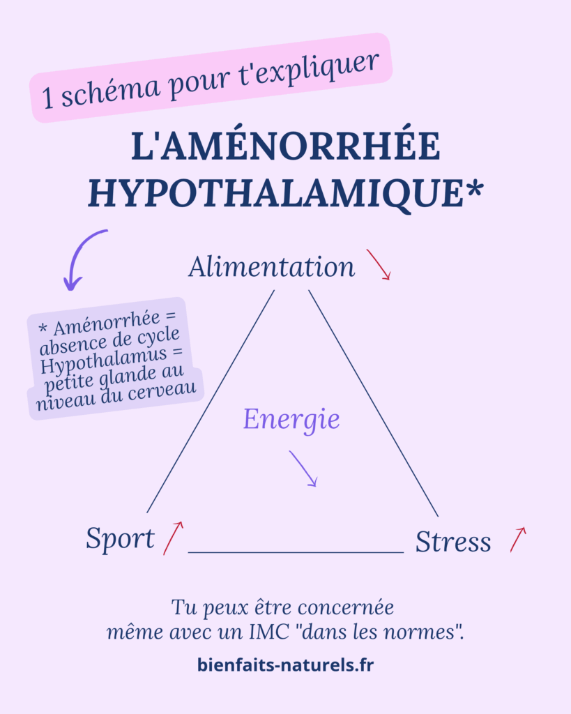 Les causes de l'aménorrhée hypothalamique : excès de stress, de sport et manque d'alimentation.