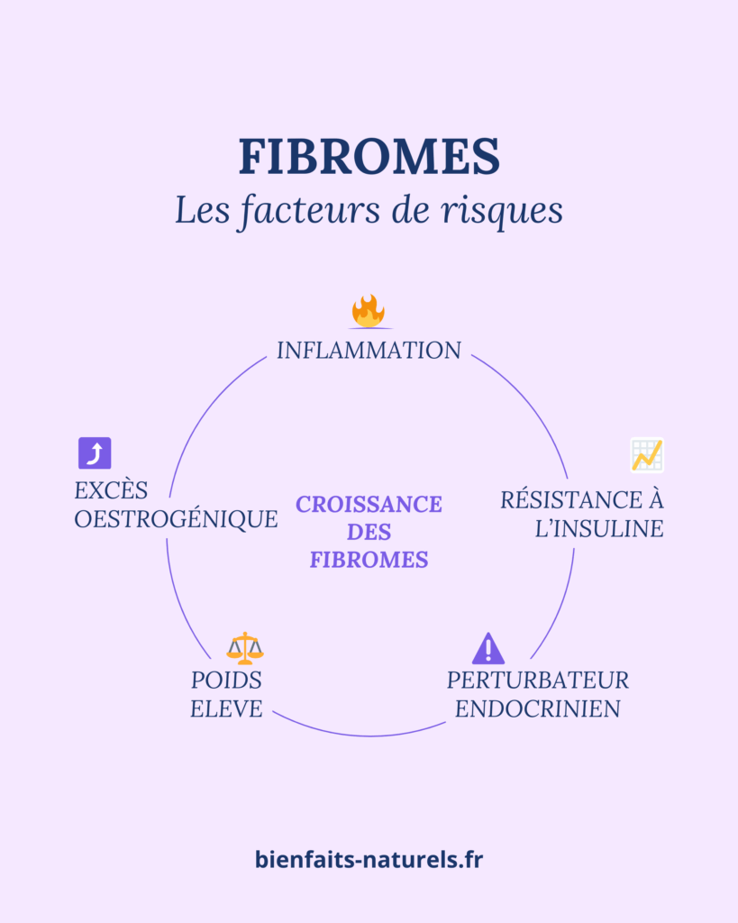 Schéma qui liste les principaux facteurs liés à la croissance des fibromes : poids élevé, inflammation, résistance à l'insuline, excès d'oestrogènes