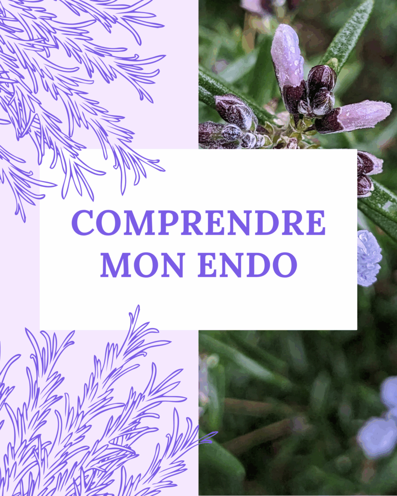 Comprendre mon endométriose
