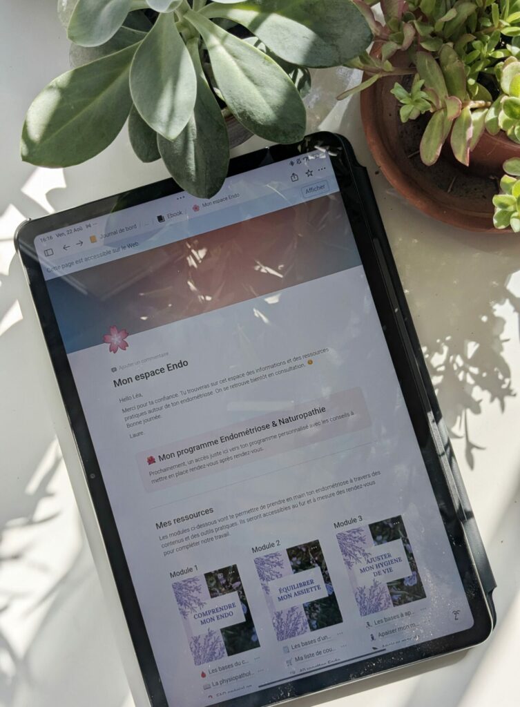 Interface mon espace adénomyose qui présente ces contenus : recettes, menu, aide anti-douleurs...