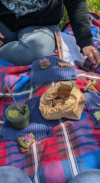 Dégusatation de recettes à base de plantes sauvages et comestibles