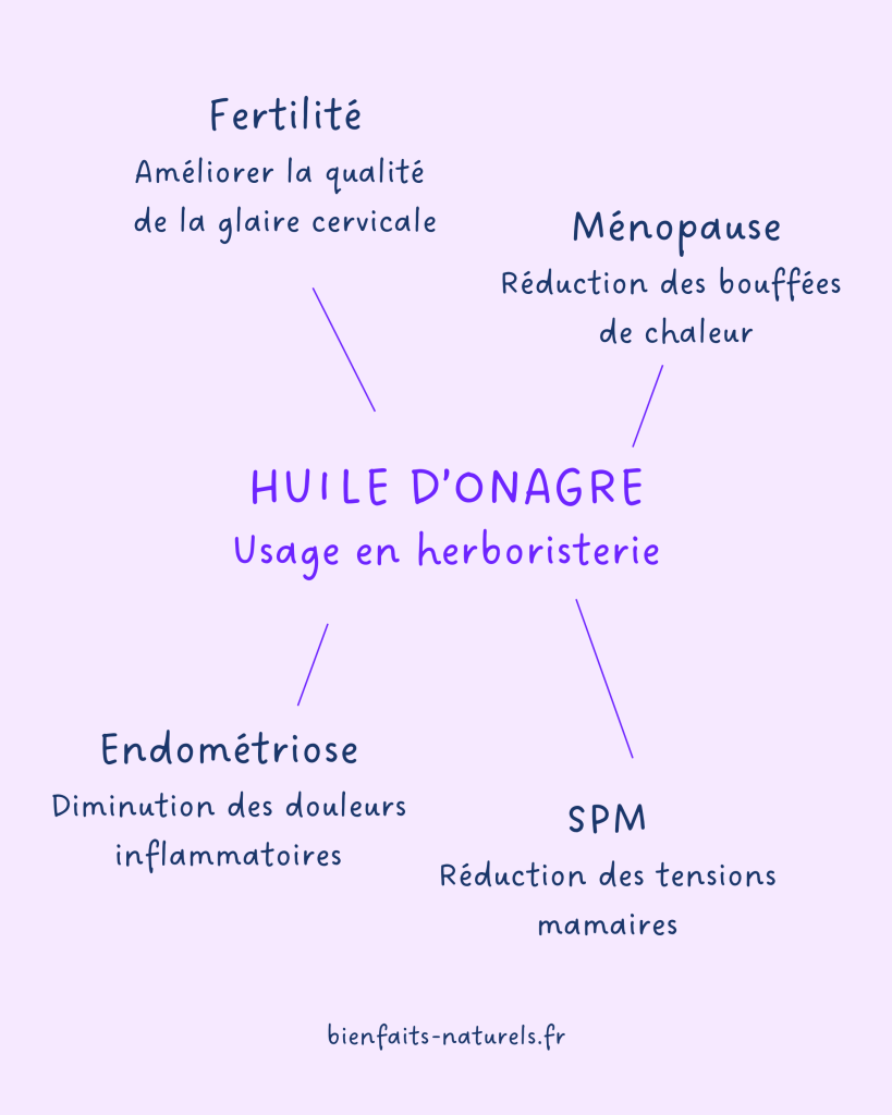 Huile d'onagre bienfaits pour la fertilité, ménopause, SPM et endométriose