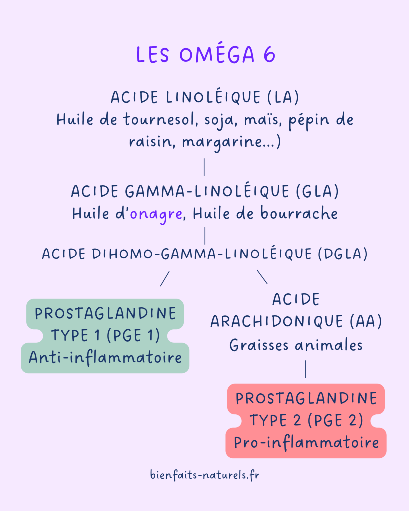 Conversion des omégas 6 