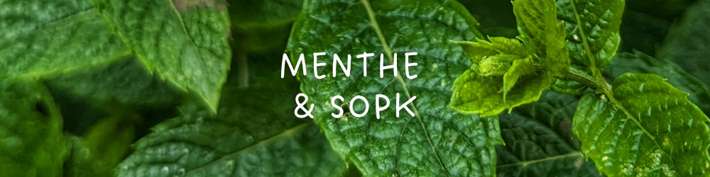 Etude sur la menthe verte et le SOPK