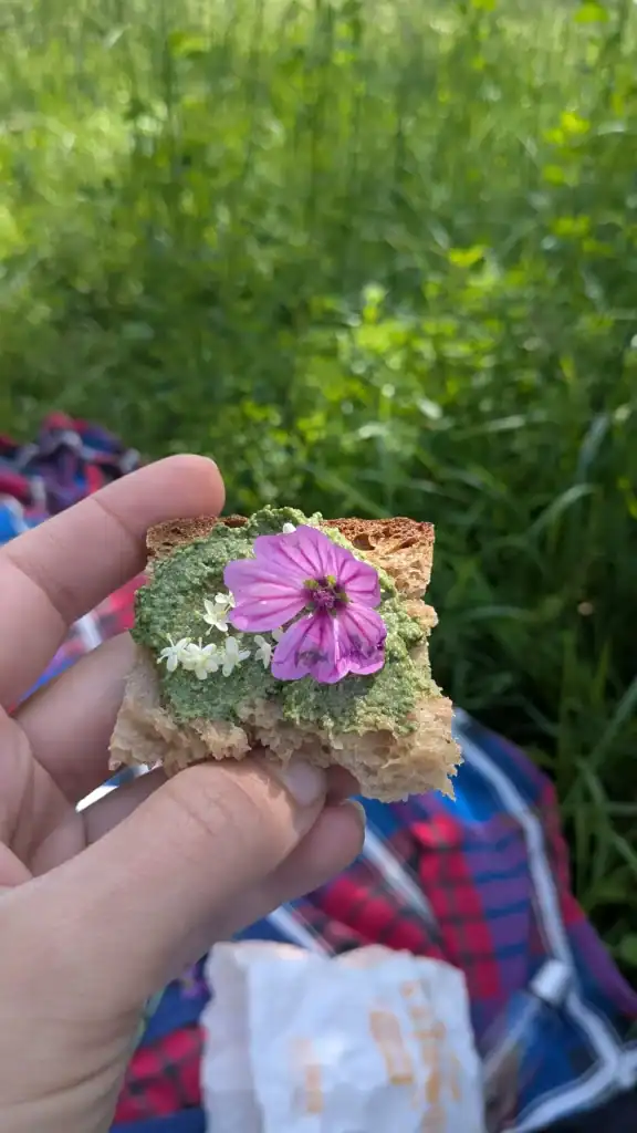 Dégustation de pesto à l'ail des ours et fleurs sauvages