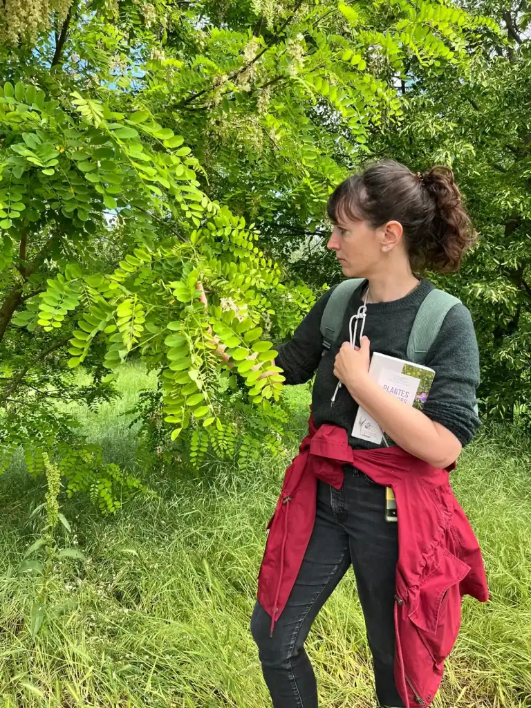 Explication naturopathe bienfaits et usage de la plantes en herboristerie et cuisine