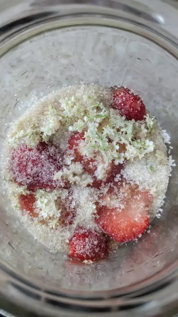 Recette de Koso sauvage