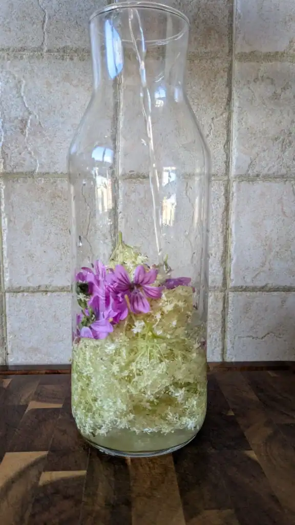 Exemple de préparation à base de plantes